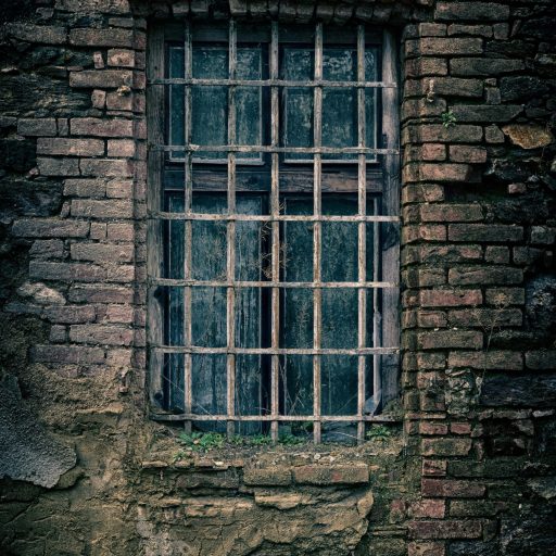 pexels-pixabay-235986